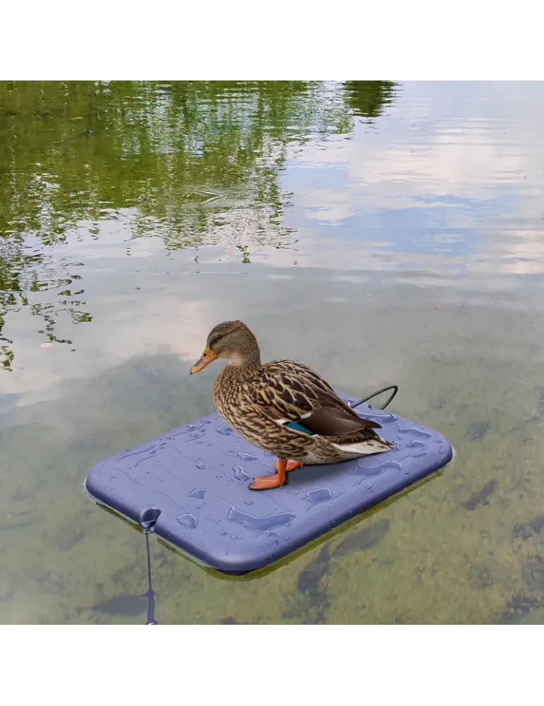 Plateau flottant plastique