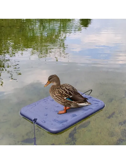 Plateau flottant plastique