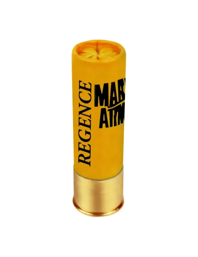 Cartouches Mary Arm Régence 28g cal.20/70 x10