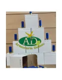 Cartouches chasse Armurerie Dubuc 36g cal.12/70 x25