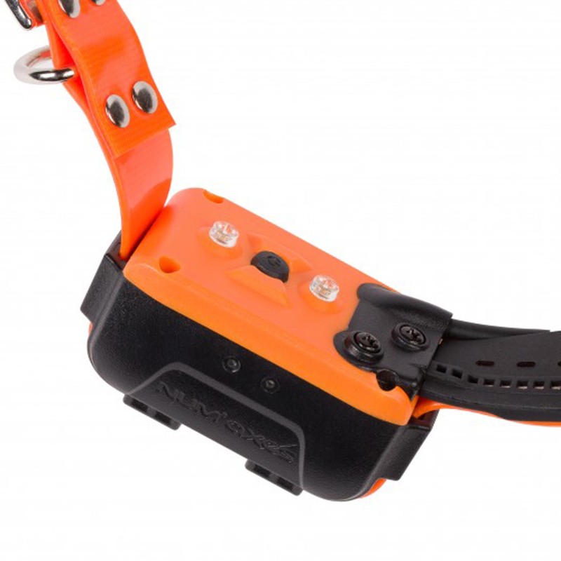 Collier de repérage et dressage Num'axes Canicom GPS