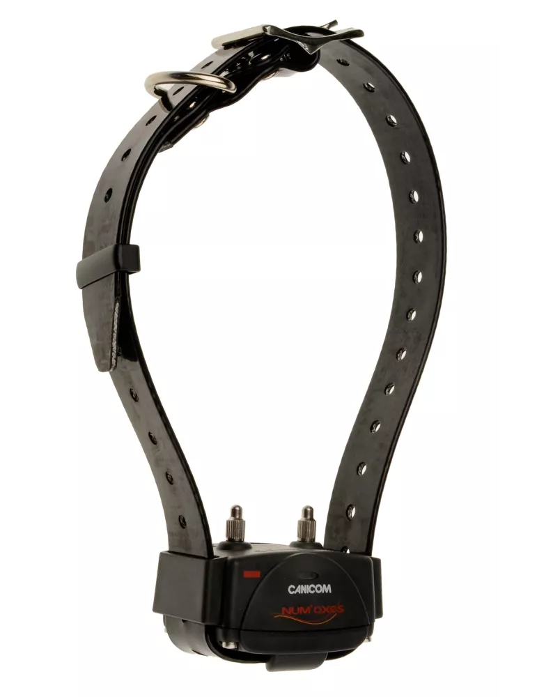 Collier de dressage Num'axes Canicom 200 First