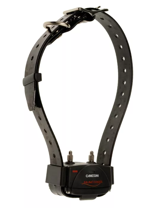 Collier de dressage Num'axes Canicom 200 First