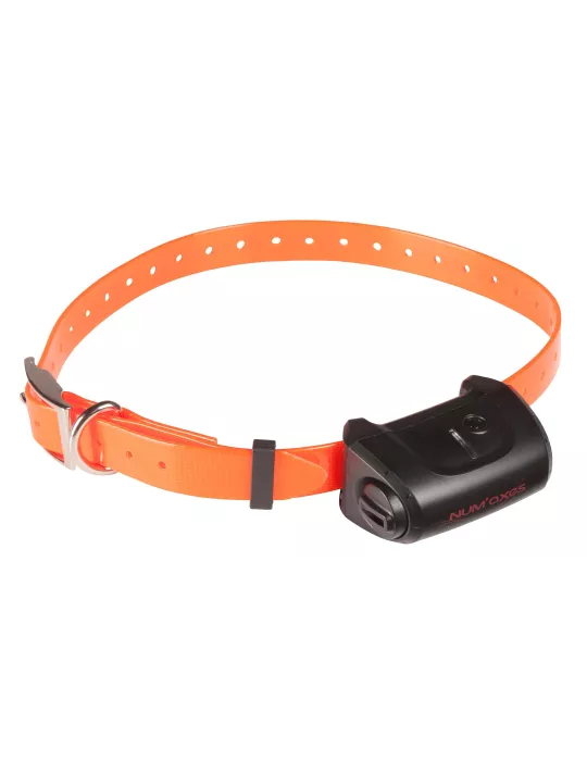 Collier de dressage Num'axes Canicom 5.800