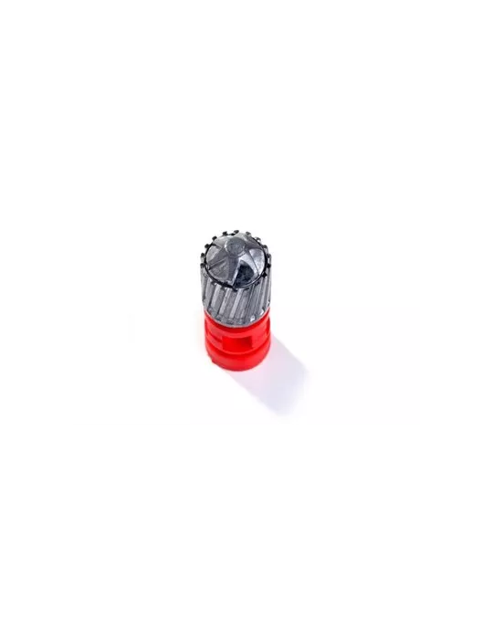 Cartouches balle B&P Big Game Thrill Shock 24g cal.20/70 x10
