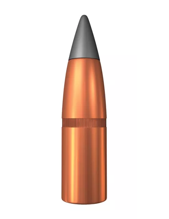 Balles Winchester Wild Boar Extrem Point cal.300 Win Mag