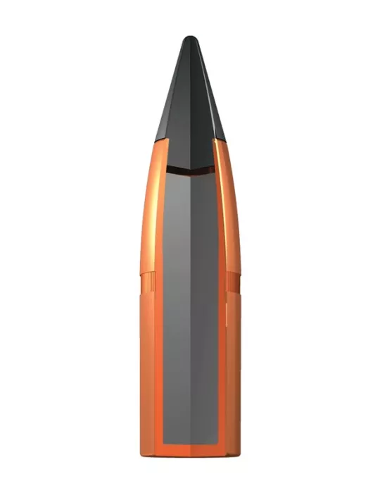 Balles Winchester Wild Boar Extrem Point cal.300 Win Mag
