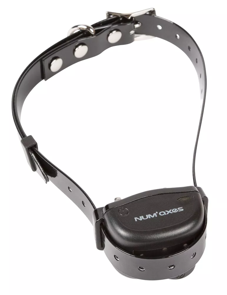 Collier anti-aboiement Canicalm Smart