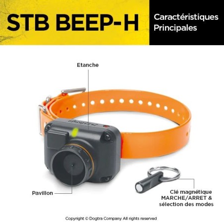 Collier beeper Dogtra STB BEEP-H