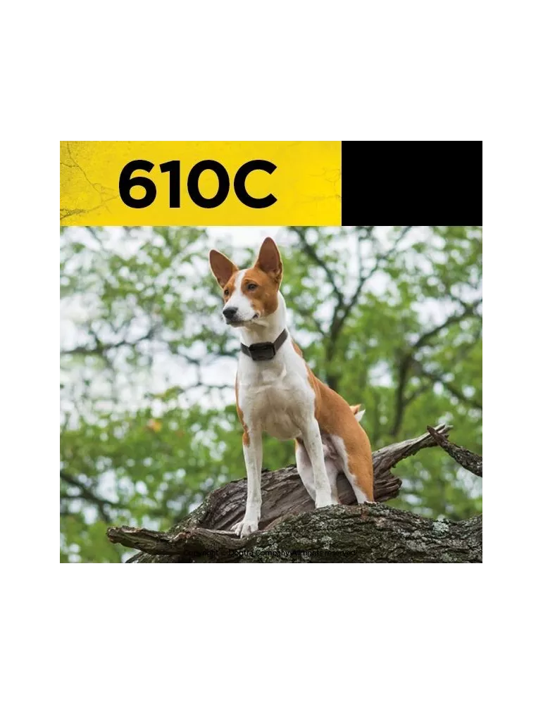 Collier de dressage Dogtra 610C