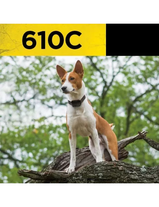 Collier de dressage Dogtra 610C