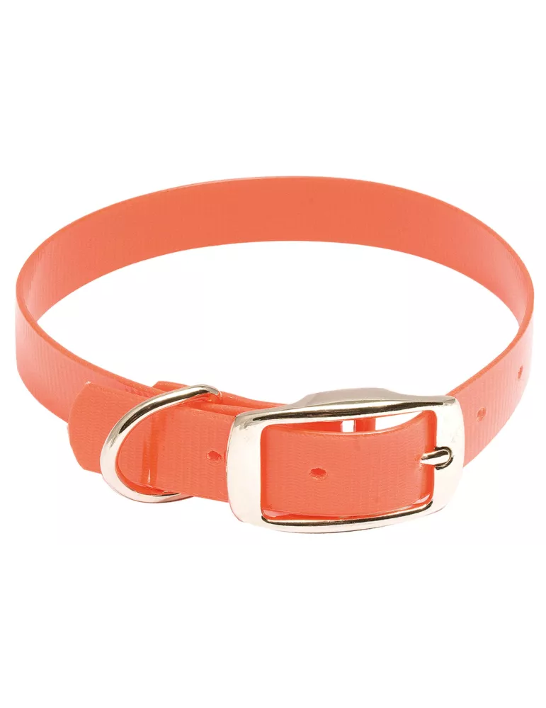 Collier chien Hiflex orange fluo