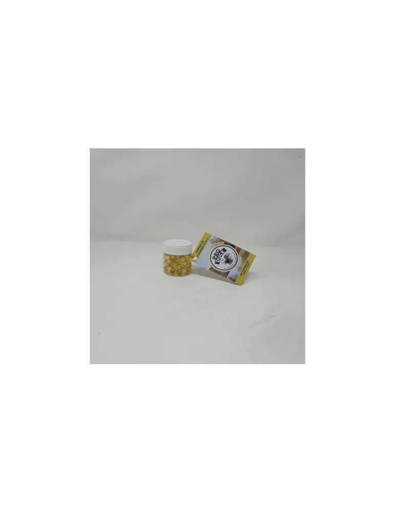 Capsules huile de foie de morue Pro Duck