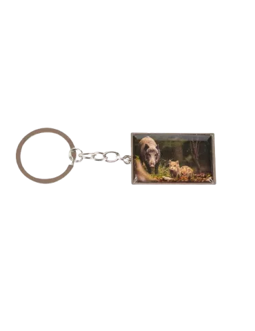 Porte clé image sanglier