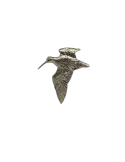 Pin's bécasse