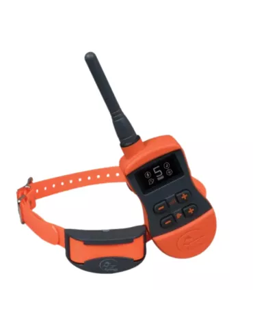 SD-875E COLLIER DE DRESSAGE 800M SPORTTRAINER