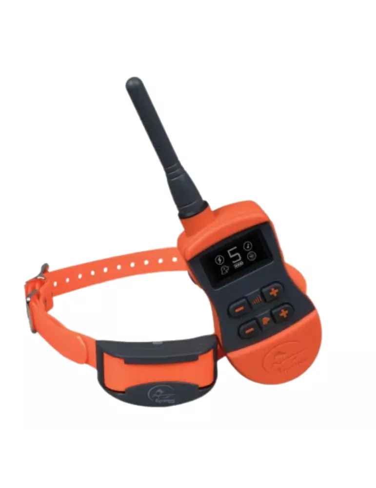 SD-875E COLLIER DE DRESSAGE 800M SPORTTRAINER