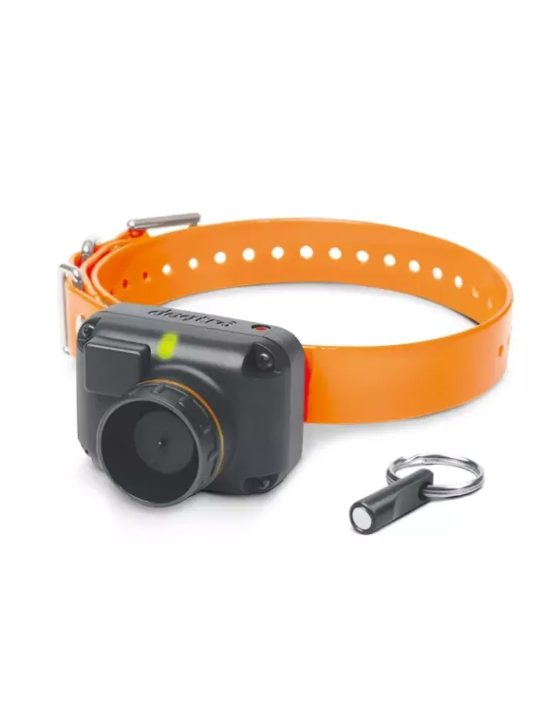 Collier beeper Dogtra STB BEEP-H