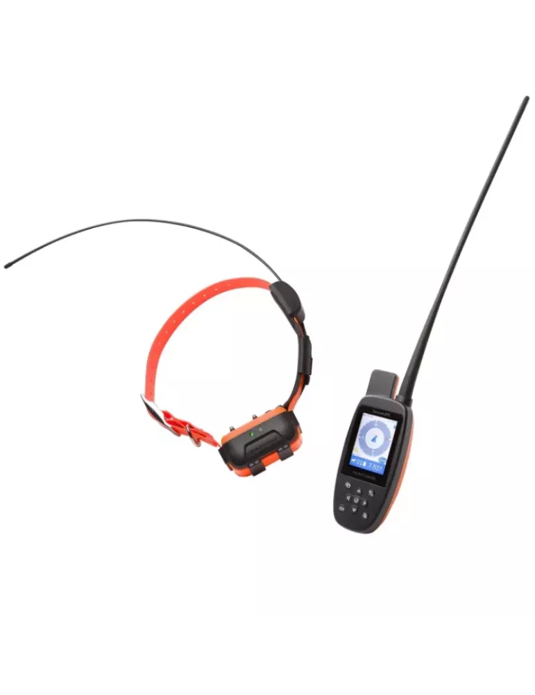 Collier de repérage et dressage Num'axes Canicom GPS