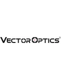 Vector Optics
