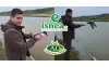 Suivez les souchets Lewis et Pixou